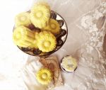Hautsinn - Shampoobar - Goldielocks